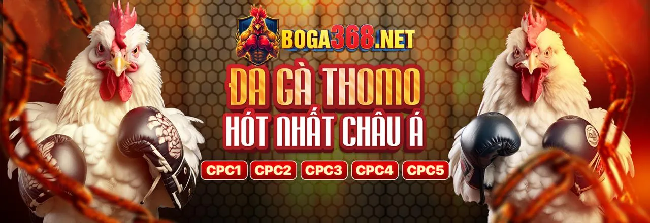 Cá cược thể thao uu8 app